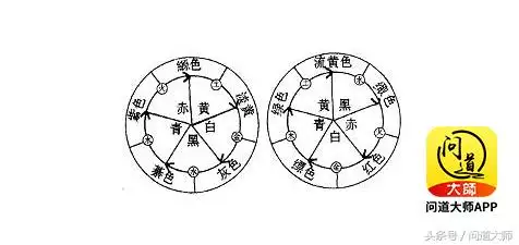 十二生肖对照表十二生肖波色，2022 年六合生肖属性知识