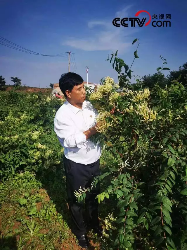 女木命适合做什么生意，农村适合做什么生意