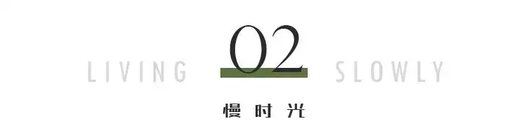 属龙的人今年四十几岁，2022 年属龙的多大岁数