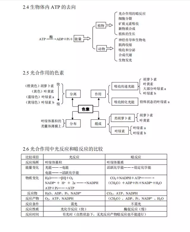 022十二生肖对照图表，十二生肖的顺序表"