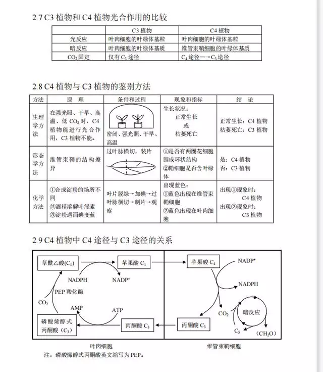 022十二生肖对照图表，十二生肖的顺序表"