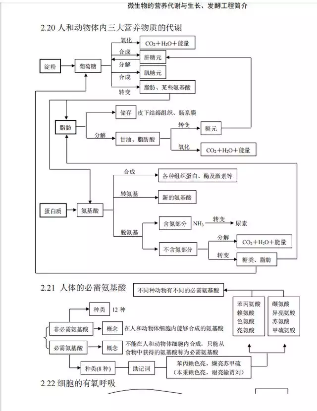 022十二生肖对照图表，十二生肖的顺序表"