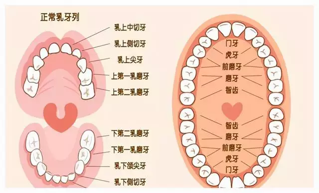 8年马跟90年马能在一起吗，马跟马的婚姻能长久吗"