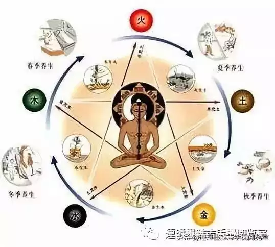 金木水火土生肖查询表免费，十二生肖五行属性讲解