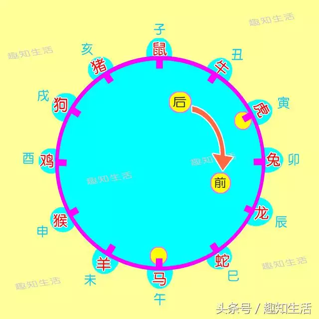 十二岁属于什么生肖，今年12岁是哪年出生