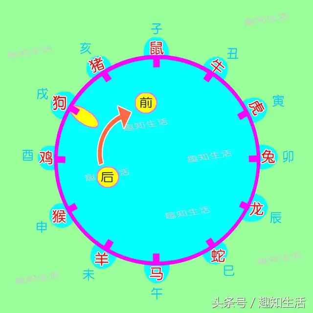 十二岁属于什么生肖，今年12岁是哪年出生