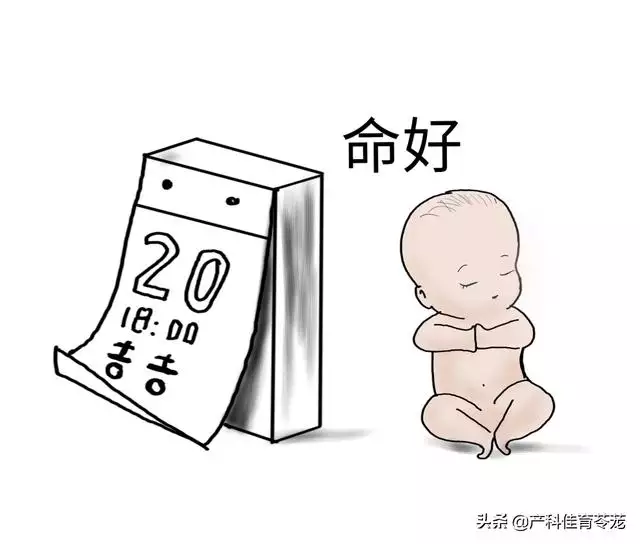 出生时间时辰与命运，属鸡最命苦的时辰