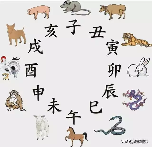 十二生肖顺序图片，十二生肖码表图片