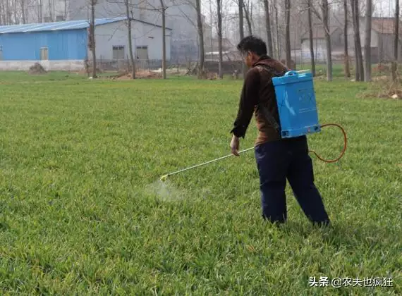 属蛇最怕什么月份出生，属蛇人最怕的人是谁