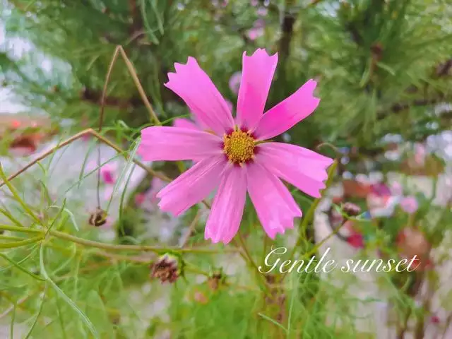 佛说九月初一出生的人，九月初一出生的男孩