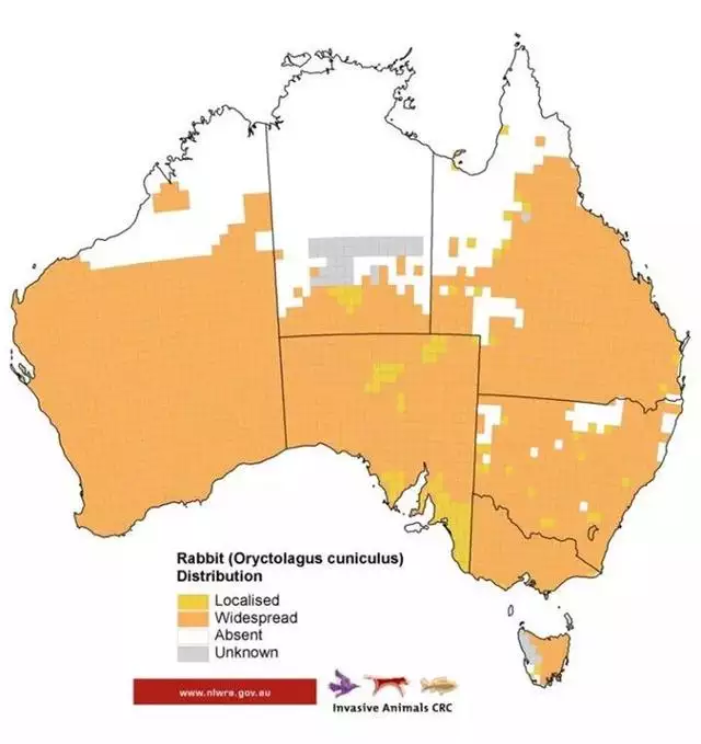 澳洲兔灾怎么解决，澳大利亚野兔成灾是真的吗