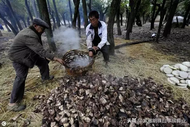 属鼠的下葬与什么属相冲，属马的犯冲属相