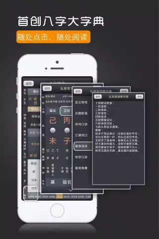 八字排盘专业版安卓版，八字排盘软件专业版
