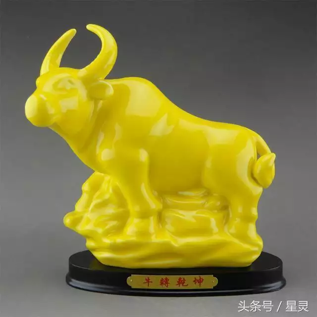 兔子和什么合得来，蛇和虎宝宝合得来