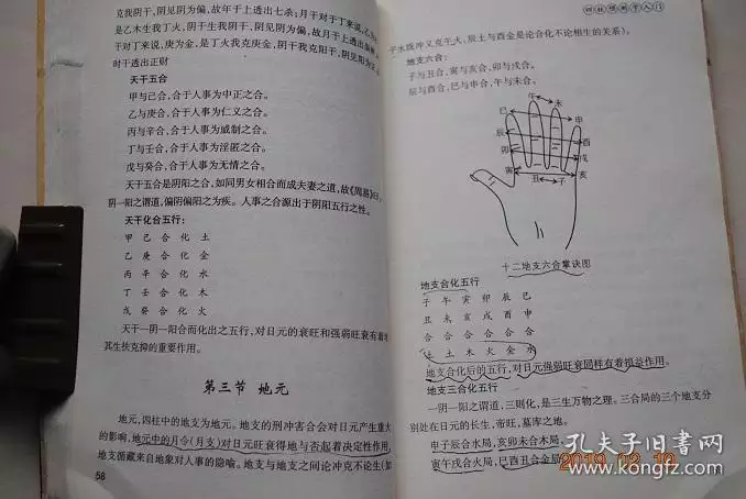 四柱八字查询系统，四柱八字五行对照表