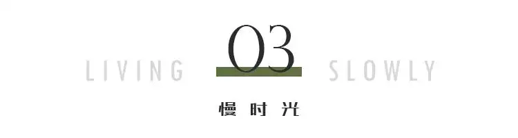 属兔的今年四十几岁，2022 属相年龄对照表查询