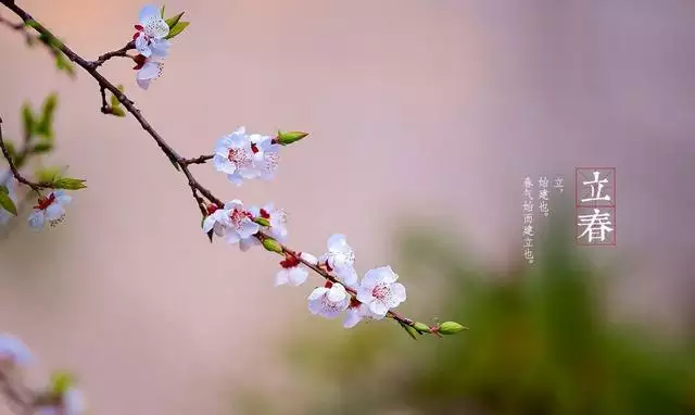 史上最全最准的黄历，今日黄历查询宜忌诸事