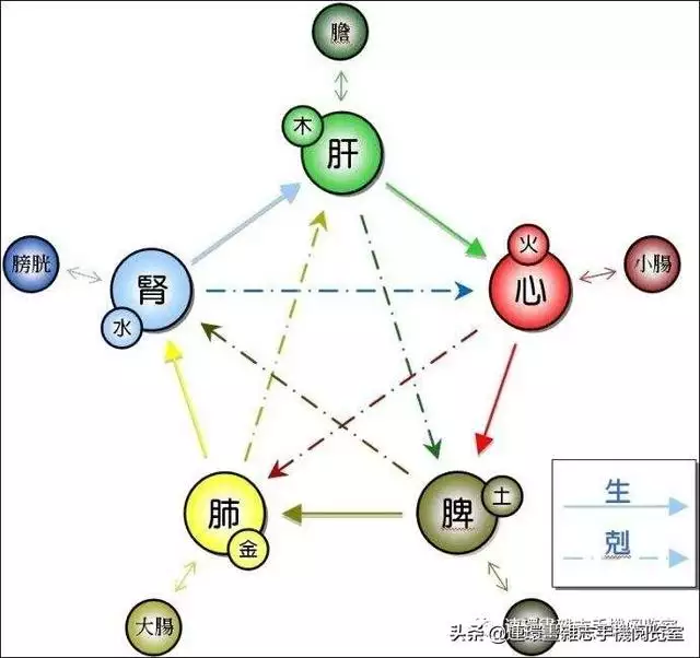 十二生肖金木水火土五行查询表，49个金木水火土号码表