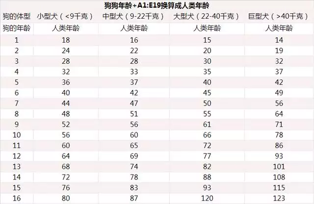 宠物兔子年龄对照表，兔子体重与年龄