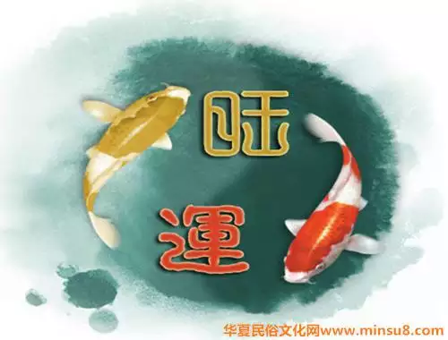 属兔的和属什么的交朋友好，属兔与属什么合作更好