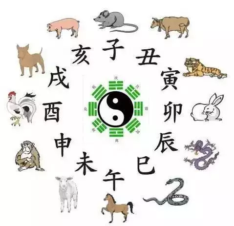 生肖属羊的年龄表，属狗的年份表及年龄