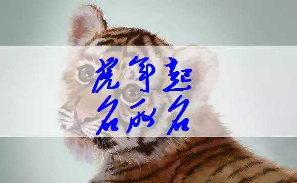 属虎的男孩名字大全，姓虎的男孩名字洋气点