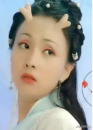 龙女与男猪合适在一起吗，小红书电脑版