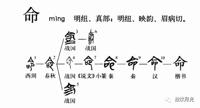 如何查自己属于什么命的人，姓名测一生的婚姻