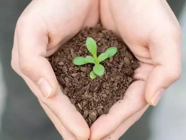 想生男孩要禁欲多久  质量好，禁欲多久  质量更好