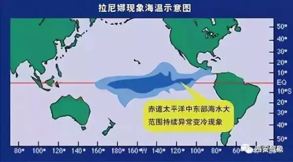 951年的兔几月出生，1951年属兔"