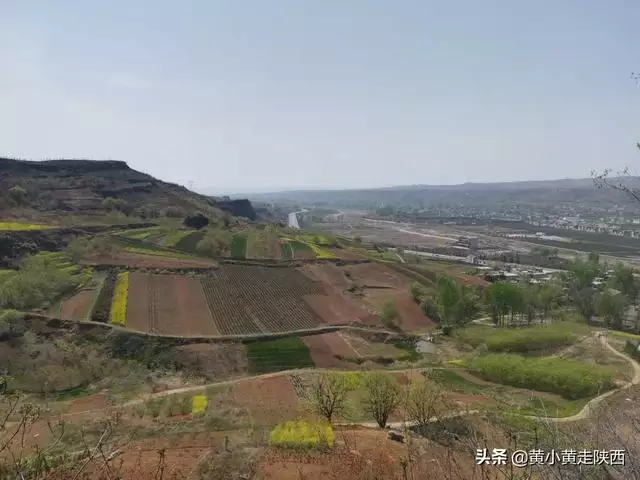 三十多岁属兔的人今年多大，兔出生年份今年几岁