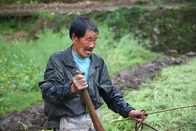 牛的天敌是什么克星，狗的死对头是什么动物