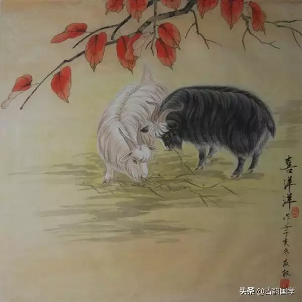 兔子生鼠宝宝好吗，属兔适合生属牛宝宝吗