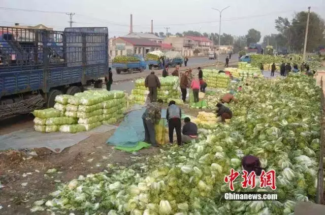 八几年属马的是哪一年出生的，八七年属什么生肖