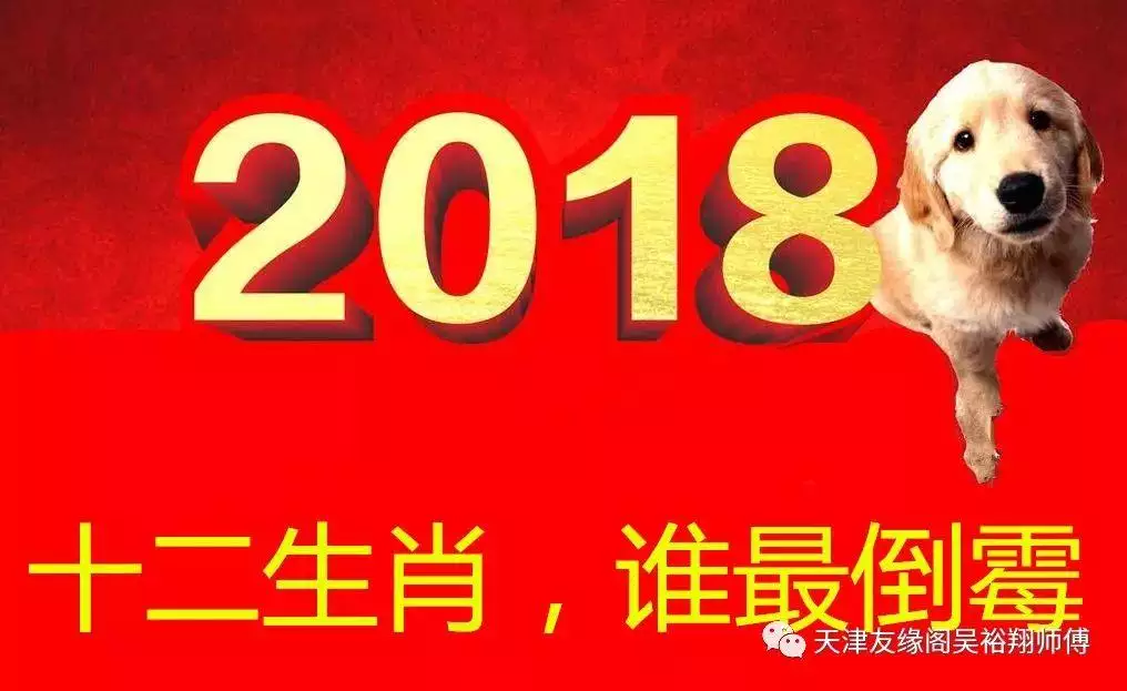 022年生肖羊的运势，属羊的人2022年虎年运势"