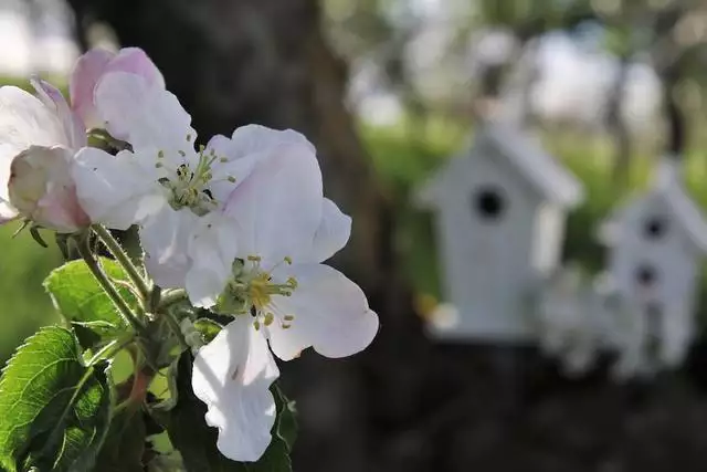 022年属虎爱情劫难，86属虎一生有几次婚姻"