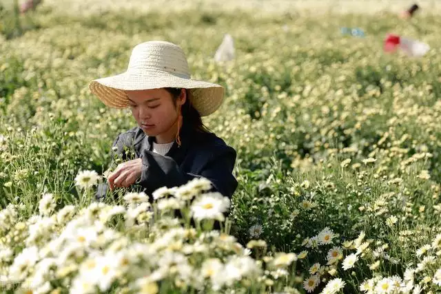 下午三四点出生的女孩，下午2点到3点出生的人好不好