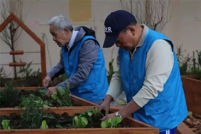 什么声音可以吸引兔子过来，用野兔叫声叫野兔来