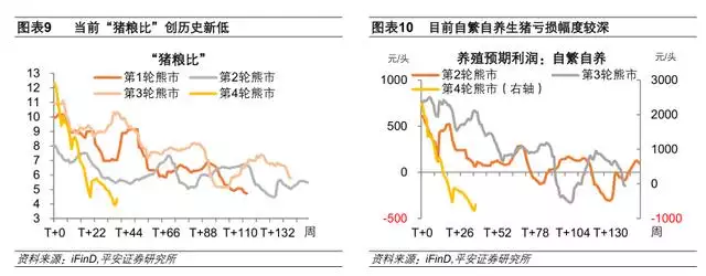 022下半年运势测算，免费生辰八字精准详批"