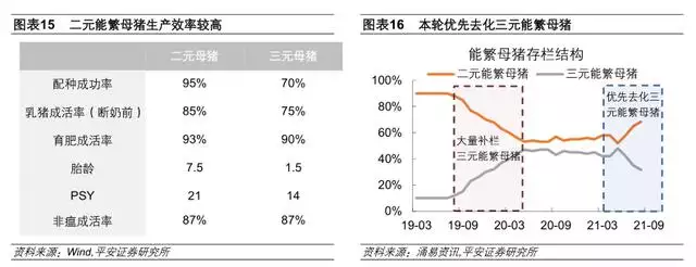 022下半年运势测算，免费生辰八字精准详批"