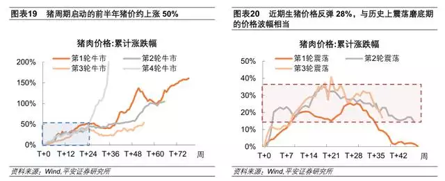 022下半年运势测算，免费生辰八字精准详批"