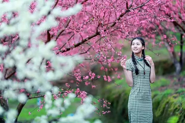 啥是桃花运走桃花运好吗，乔迁三年连走桃花运好吗