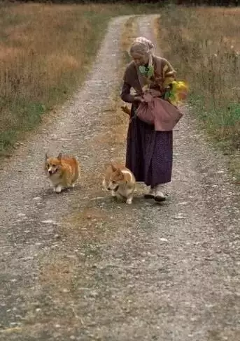 2岁属什么生肖，92年属什么生肖配对"