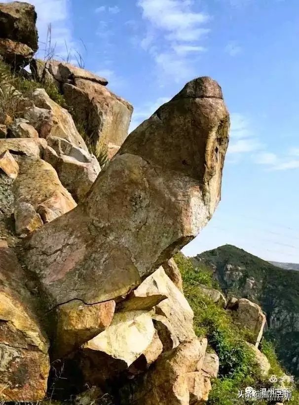 预言唯有玉兔上龙床，千佛万祖保护