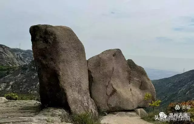 预言唯有玉兔上龙床，千佛万祖保护