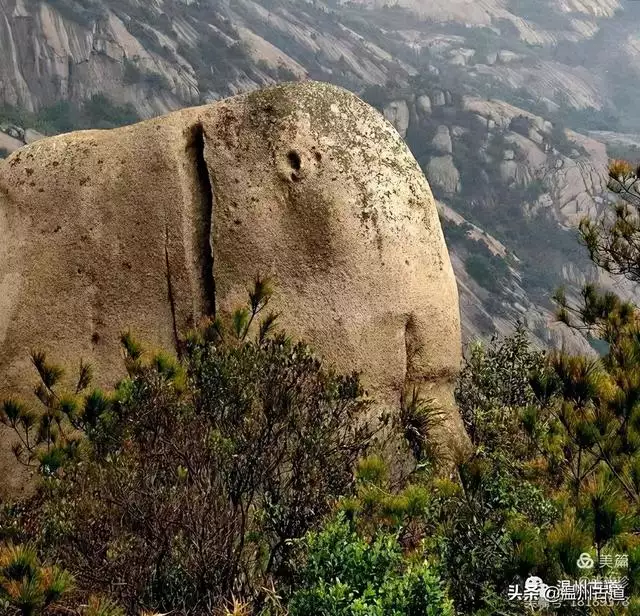 预言唯有玉兔上龙床，千佛万祖保护