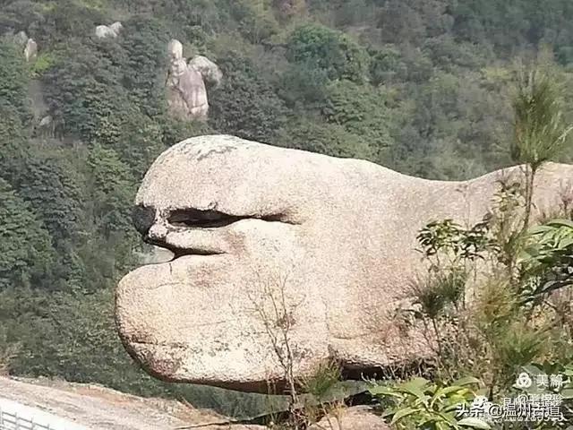 预言唯有玉兔上龙床，千佛万祖保护