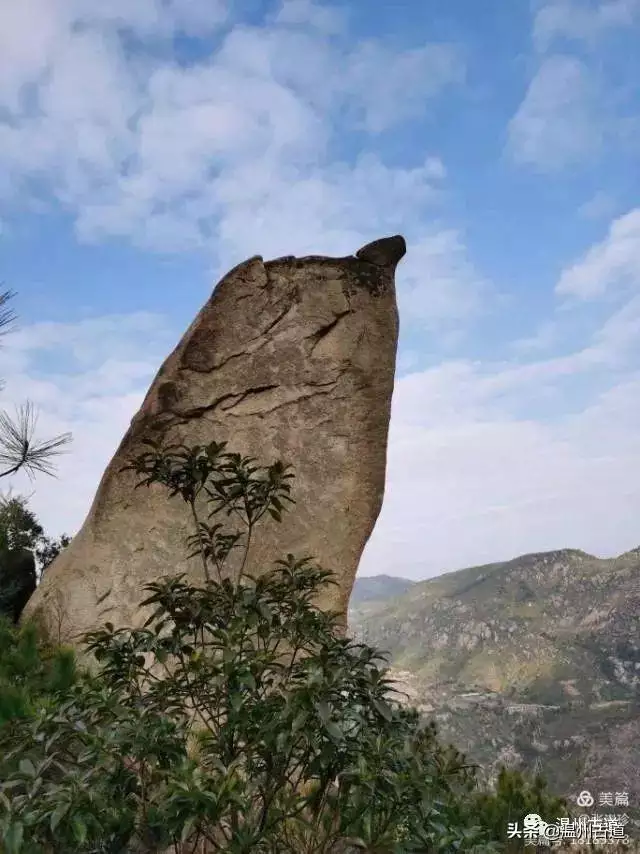 预言唯有玉兔上龙床，千佛万祖保护