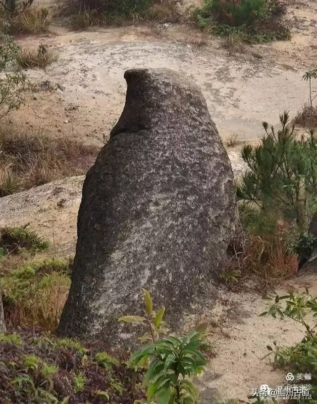 预言唯有玉兔上龙床，千佛万祖保护