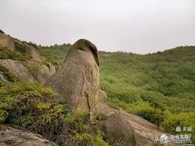 预言唯有玉兔上龙床，千佛万祖保护